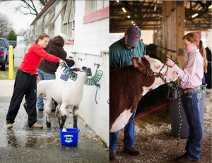 children working with animals