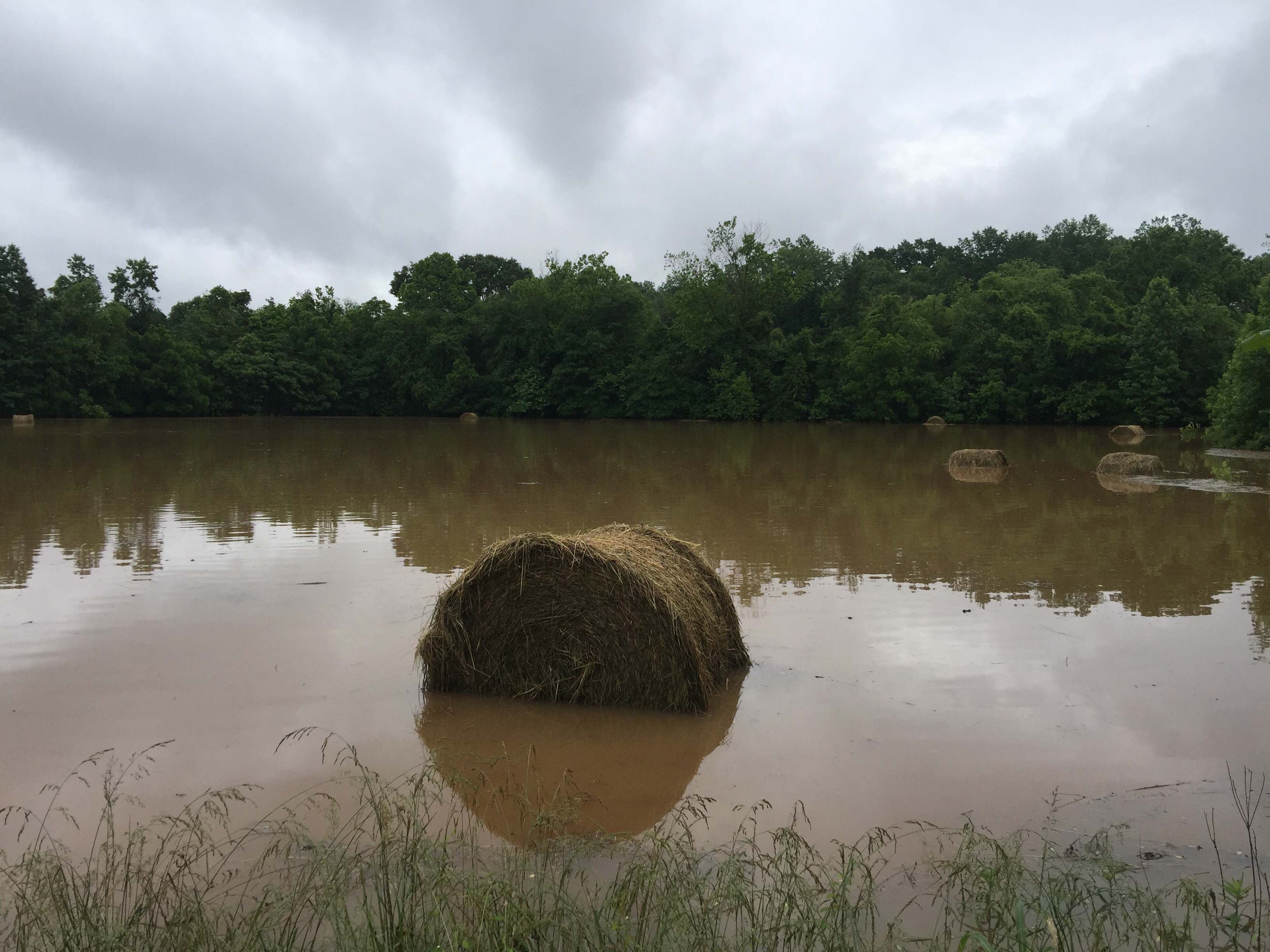 Hay bale in flood water