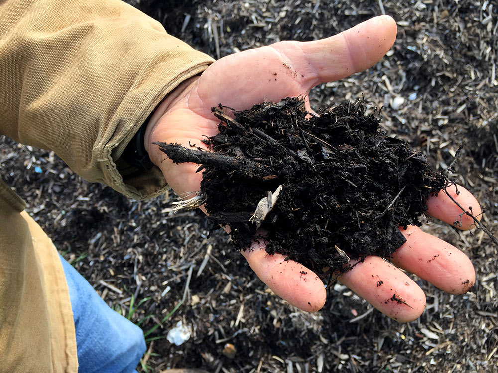 handful of soil