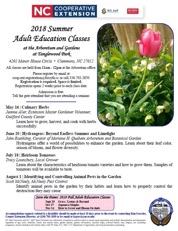 Adult education classes flyer image