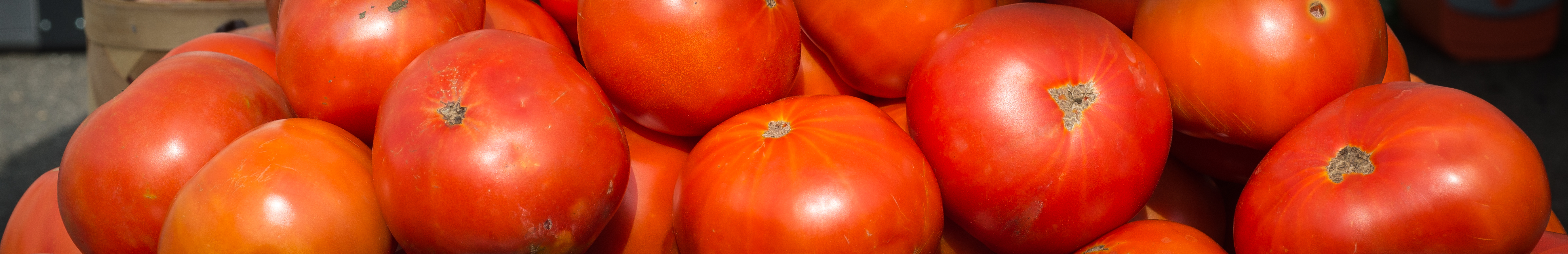 Tomatoes from the vendors at the U.S. Department of Agriculture (USDA)  Photo: USDA Media by Lance Cheung.