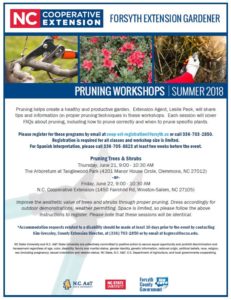Summer Pruning Workshop Flyer