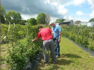 Cover photo for Two On-Farm Food Safety Workshops to Be Held in Forsyth County