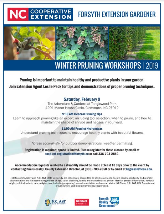 February 2019 Pruning classes flyer