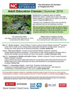 2019 Summer Adult Education flyer
