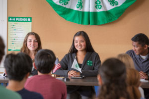 4-H Youth 