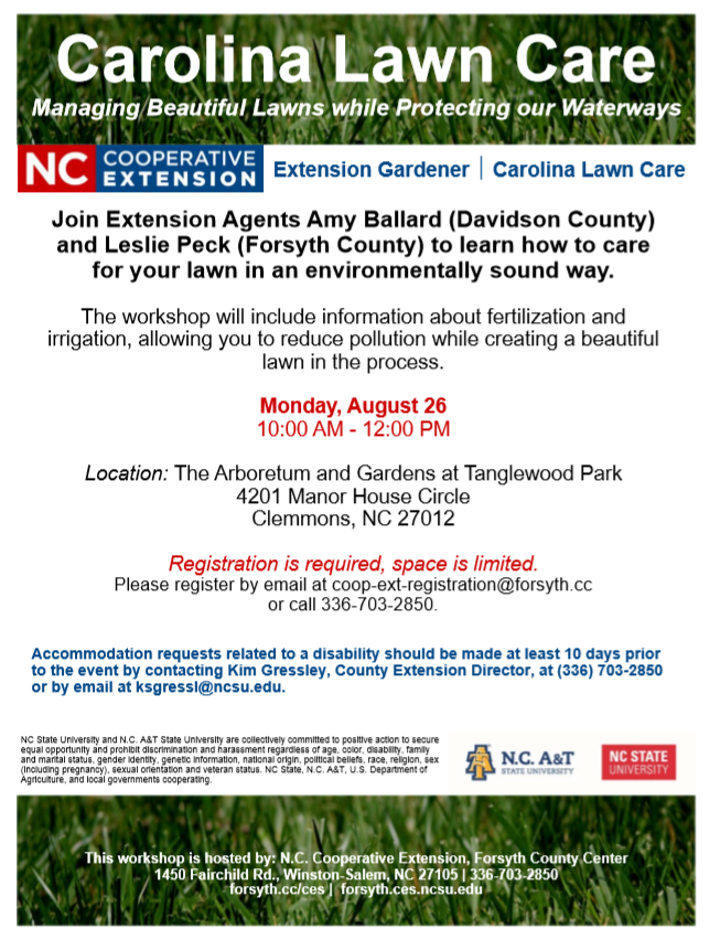 Carolina Lawn Care flyer