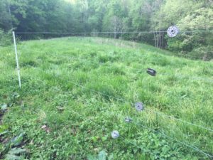 Electric Fence Strainers