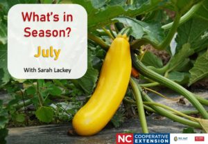 Cover photo for What's in Season: July