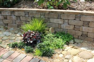 plants in front of a wall