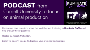 Ruminate on This cover art with text announcing the new podcast