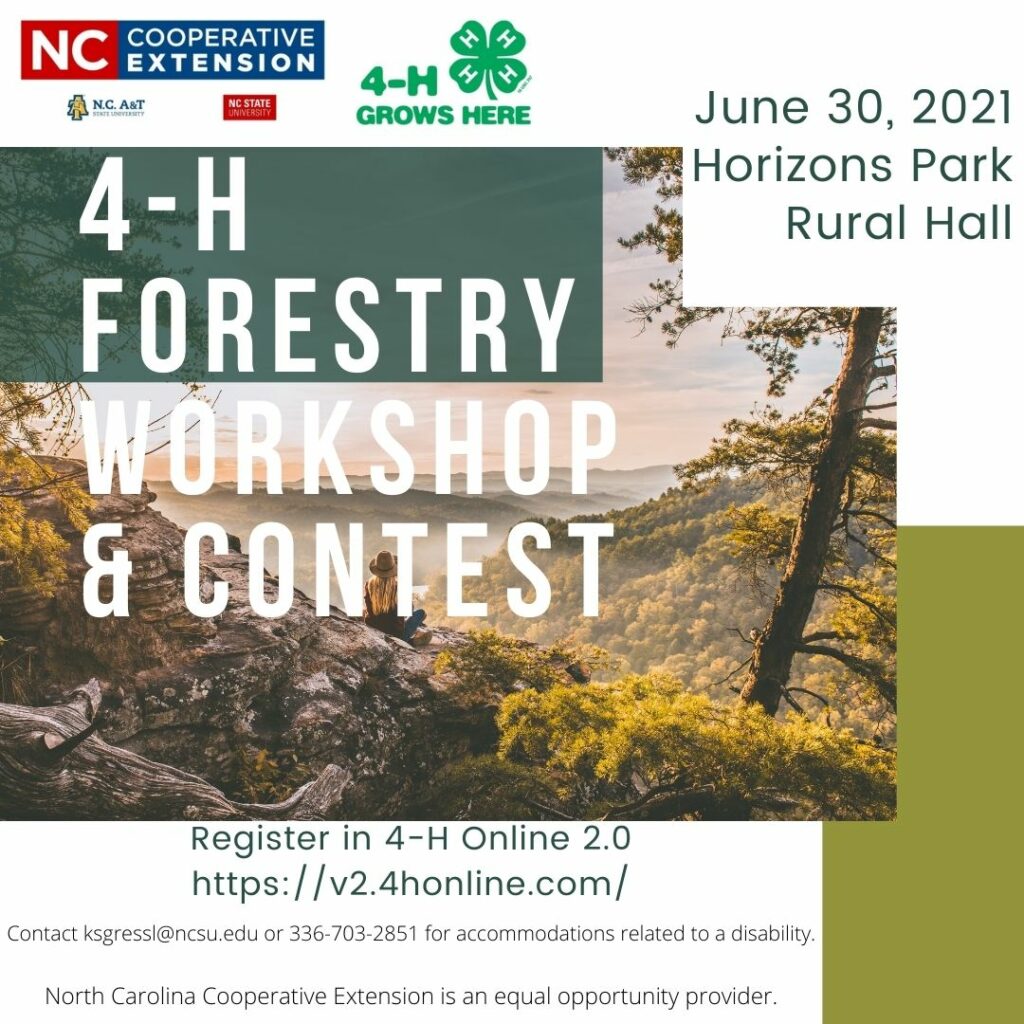 forestry flyer
