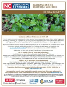 July and August 2021 Adult Education flyer