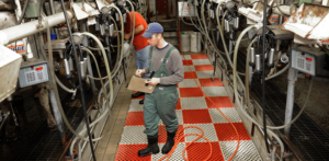 Cover photo for Dairy Grants Available for Farmers and Processors