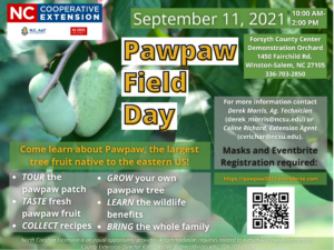 Cover photo for Pawpaw Field Day Will Be Celebrated September 11, 2021