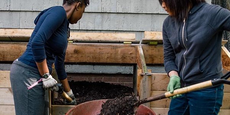 Two people shoveling mulch