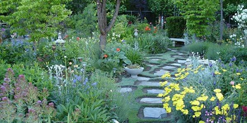 Stone path through a garden