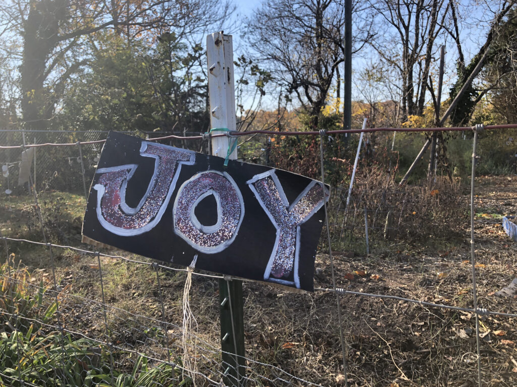 Sing the says "JOY"