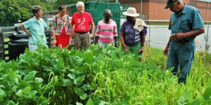 Community garden gathering