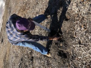 Man digging in a field