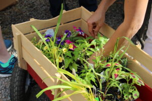 Cover photo for 2022 Spring Plant Sale at the Arboretum at Tanglewood Park
