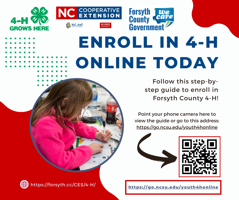Three logos are across the top, the 4-H logo, N.C. Cooperative Extension logo, and Forsyth County Government logo. Text reads, "Enroll in 4-H Online Today, Follow this step-by-step guide to enroll in Forsyth County 4-H! Point your phone camera here to view the guide or go to this address: https://go.ncsu.edu/youth4honline". Directions to point your phone indicate towards a QR code that leads to the same webpage linked in the text
