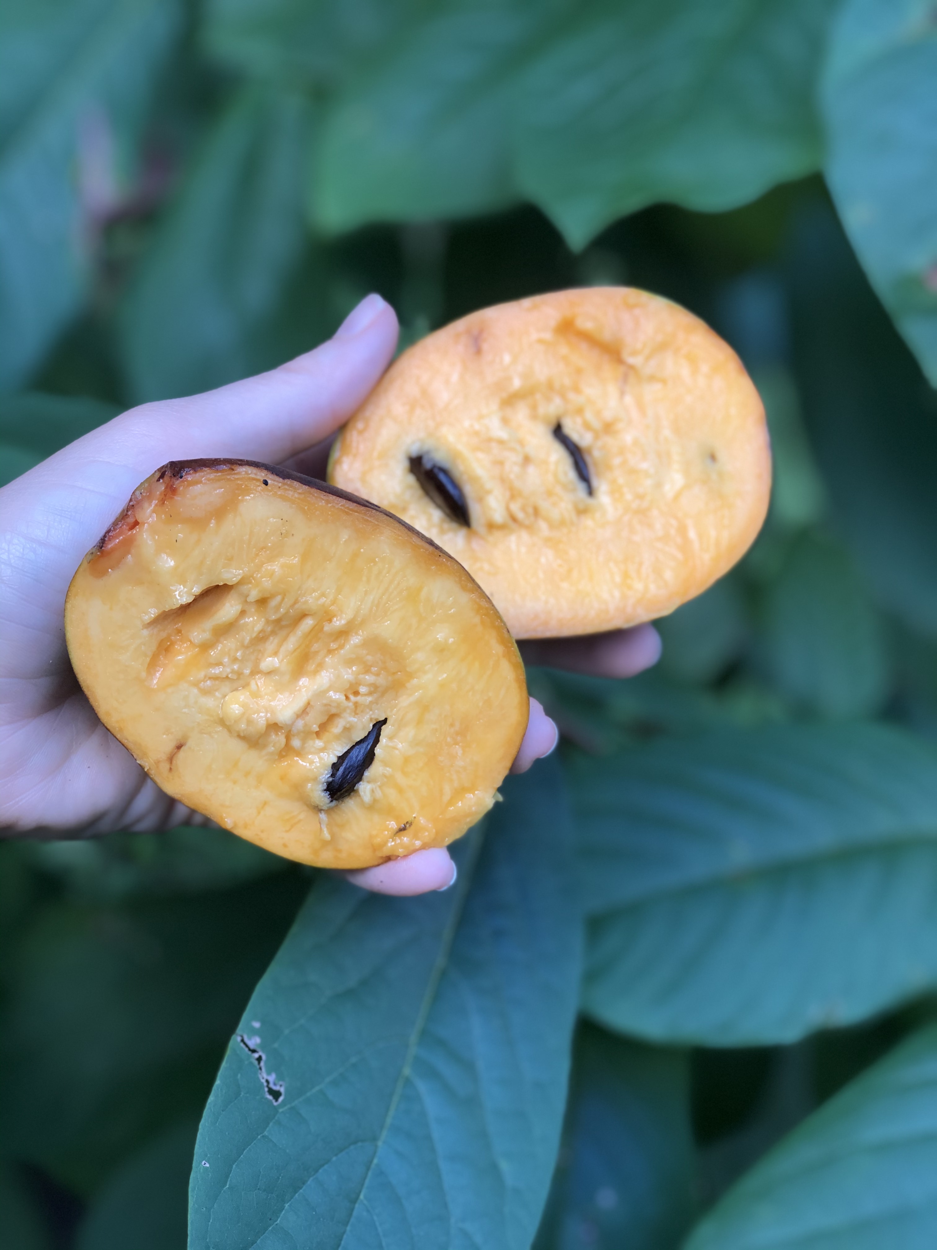 A ripe orange fruit with large black seeds.
