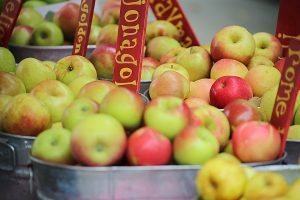 Jonagold apples in a bin