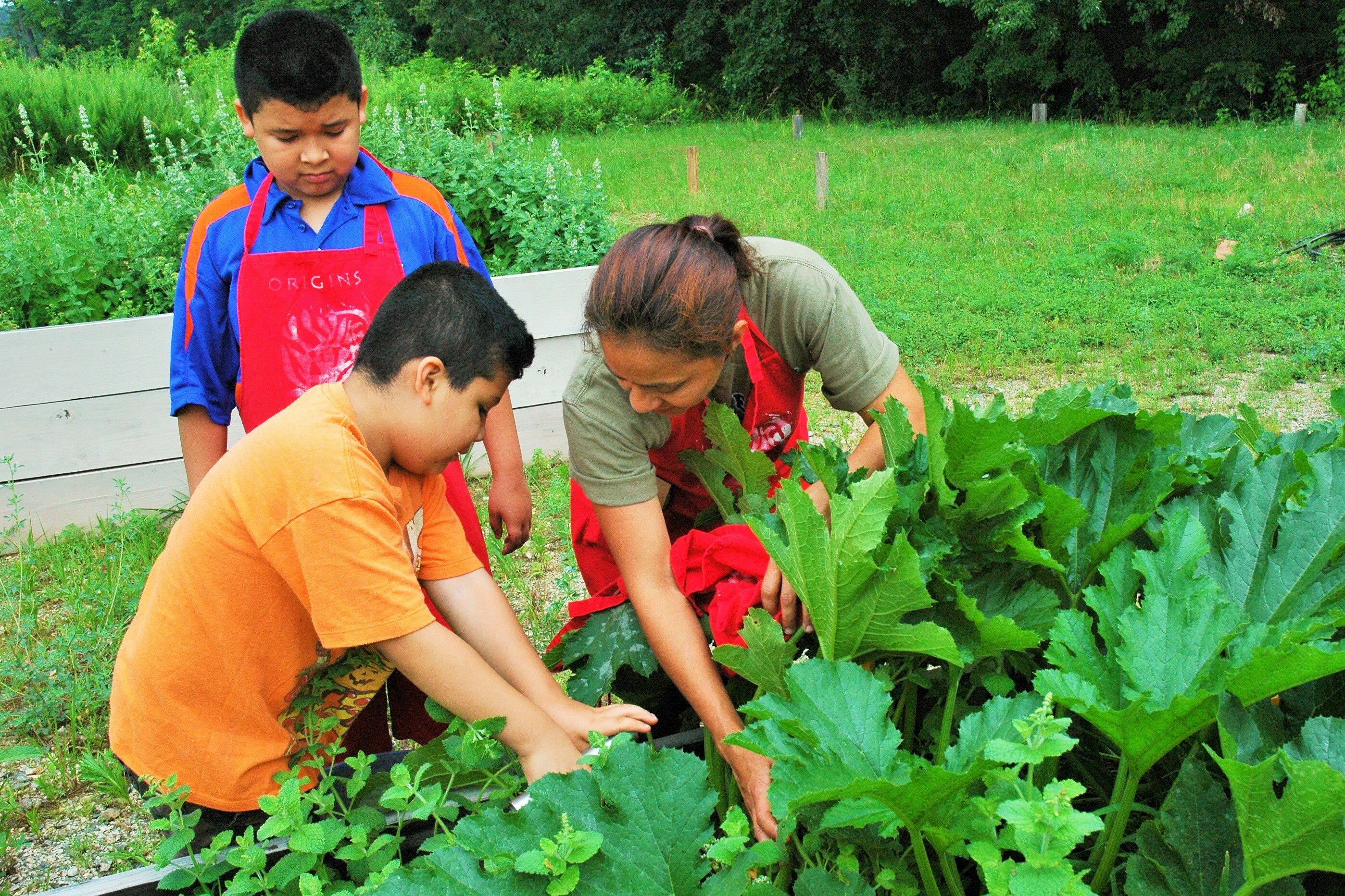 A woman helps two children work in a garden.
