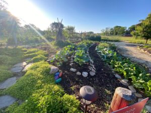 A garden with rock lined tiers.