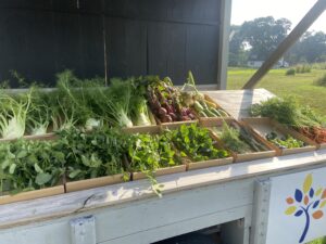 A roadside stand with produce.