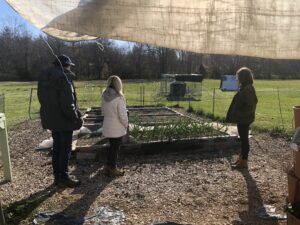 People look at a small raised bed.