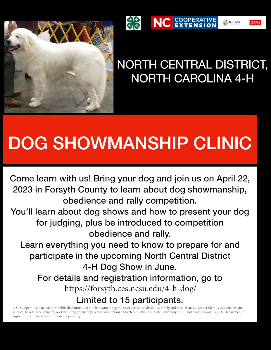 dog clinic flyer