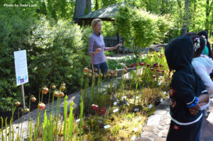 Cover photo for Youth Education at the Arboretum Reinforces Science Standards