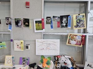 Photographs of dogs on display