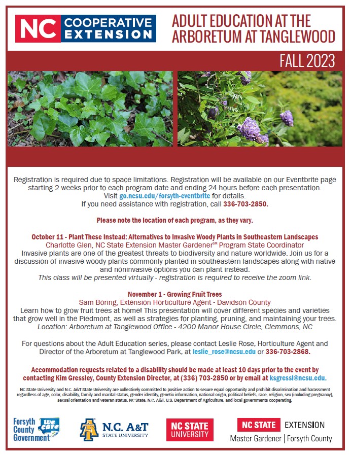 Fall 2023 Adult Education flyer
