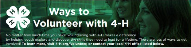 Green background with white words that says "Ways to volunteer with 4-H"