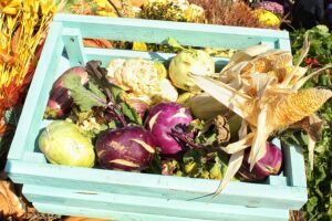 Various Vegetables in a teal crate.