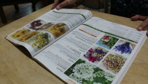 a seed catalog sits open on a table