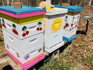 Colorful beehives in a garden