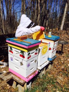 Beekeeper in colorful bee yard
