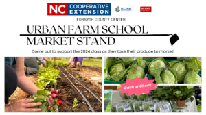 Cover photo for Urban Farm School Market Stand