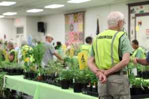 Volunteer working at the plant sale