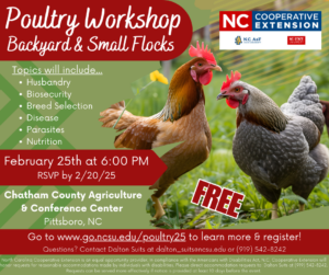 Cover photo for Checking on Chickens - Free Small-Flock Workshop