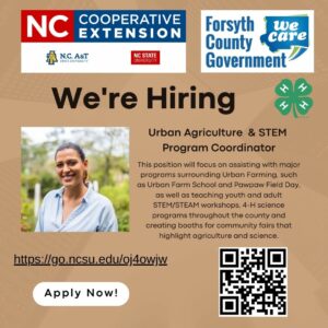 Title of We're Hiring, with young woman's image and N.C. Cooperative Extension logo, Forsyth County Govt logo and 4-H logo.