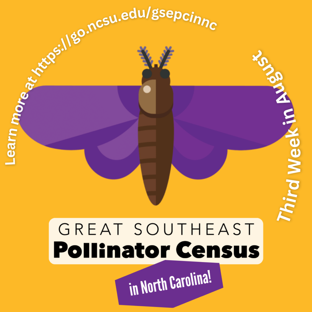 Great Southeast Pollinator Census mascot - purple butterfly on a yellow background with text superimposed. 
