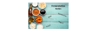 Cover photo for Fermentation Foundations: A 3-Week Online Series